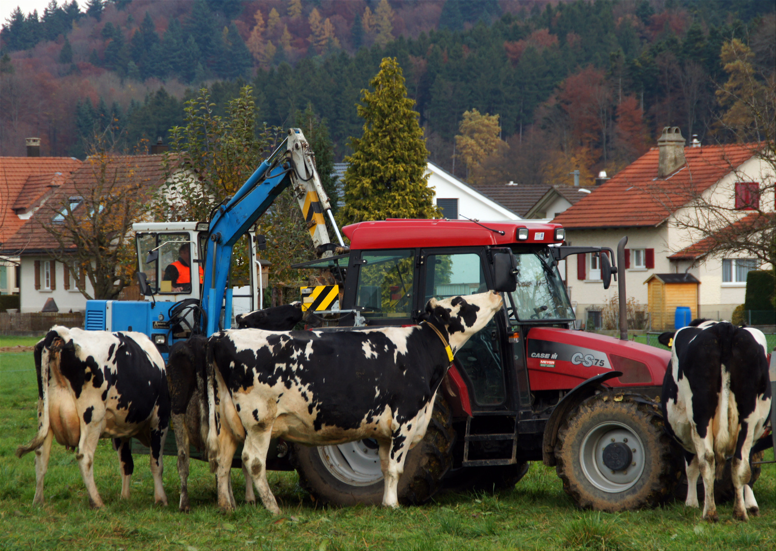 ..noch einen Blick in den Spiegel..