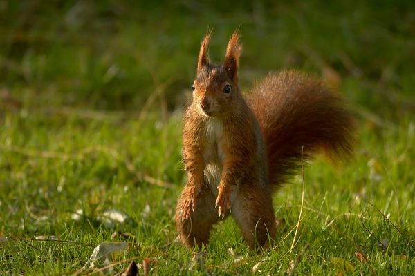 Noch einen Schritt näher