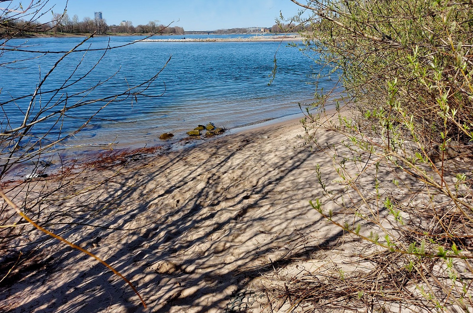 Noch einige lange Winterschatten am Rheinstrand...