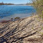 Noch einige lange Winterschatten am Rheinstrand...