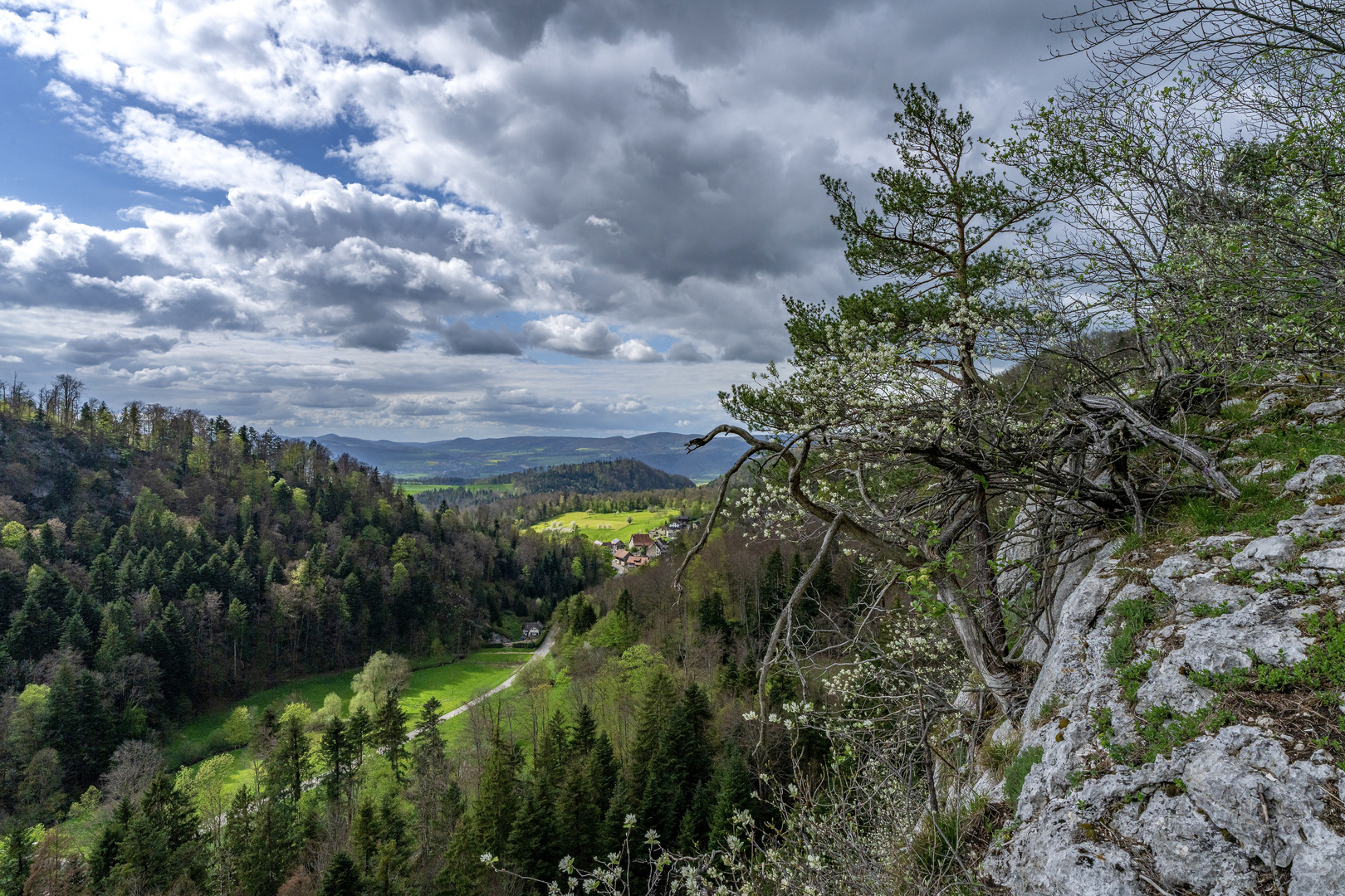 Noch einmal...