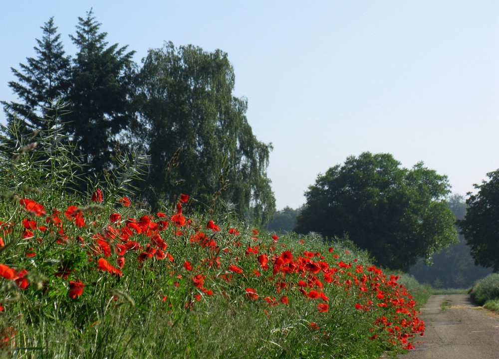 Noch einmal