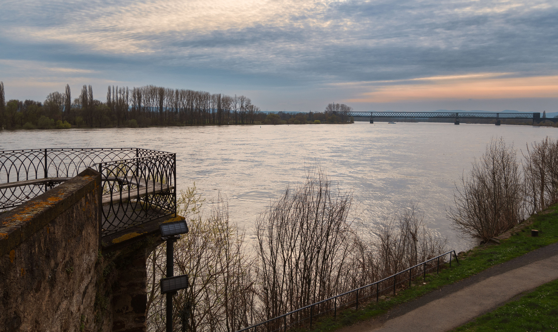 Noch einmal am Rhein