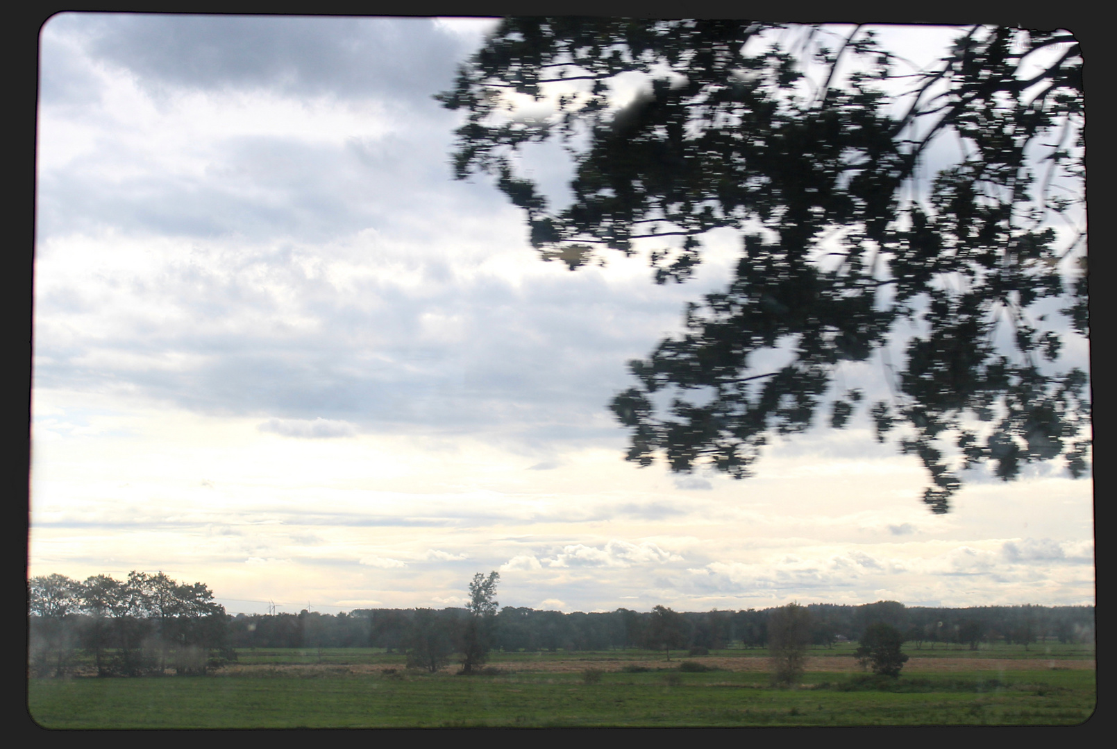 noch einmal aus dem Fenster geschaut ...