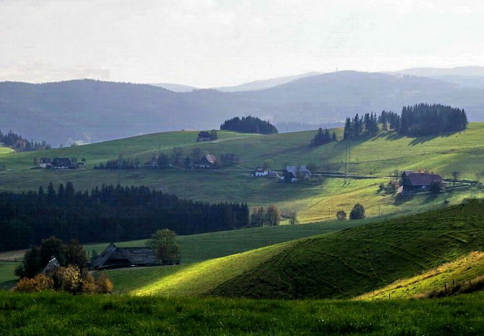 noch einmal Breitnau im Schwarzwald