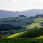 noch einmal Breitnau im Schwarzwald