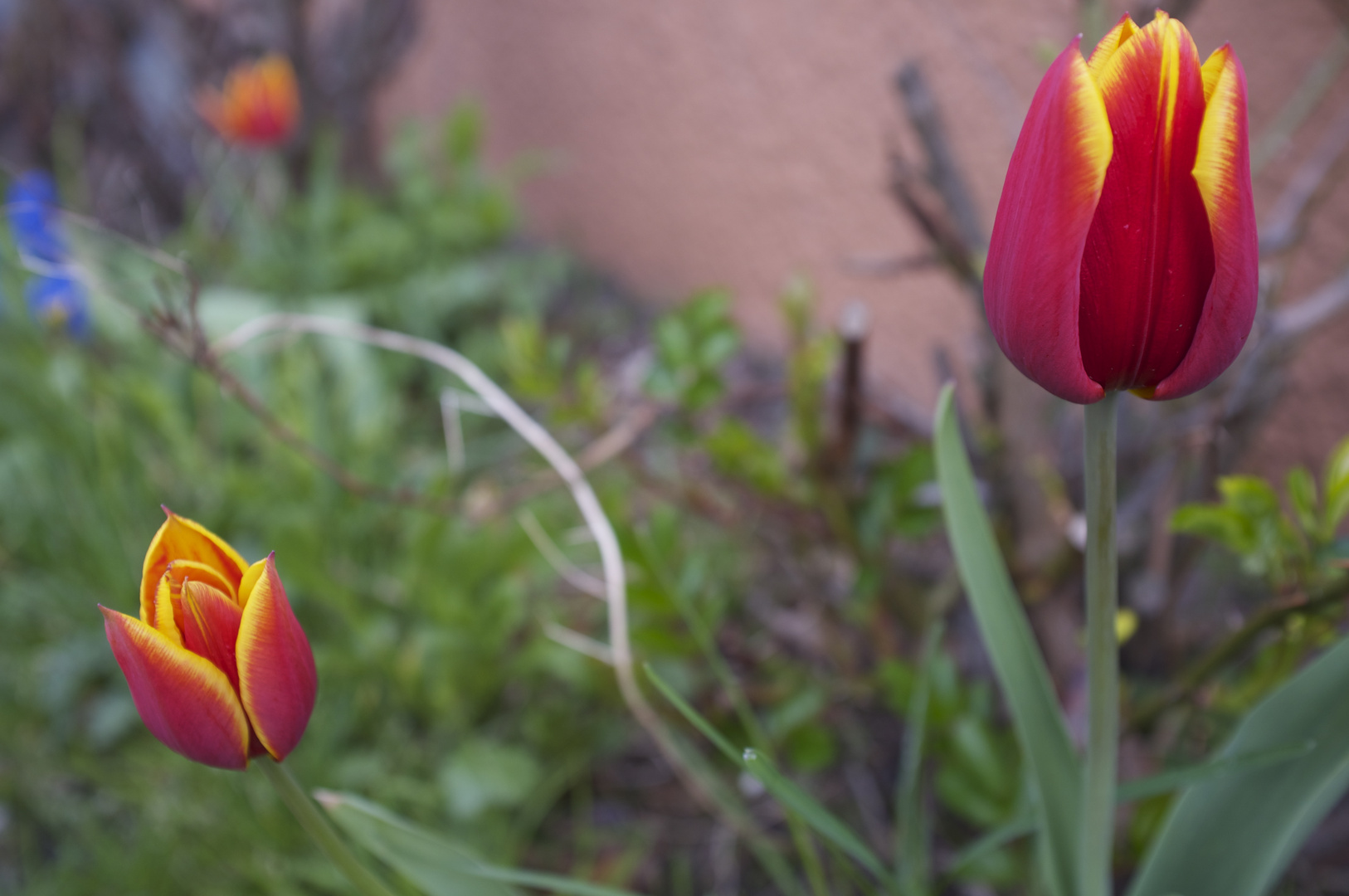 Noch einmal bunt