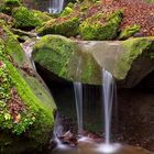 noch einmal Butzerbachtal