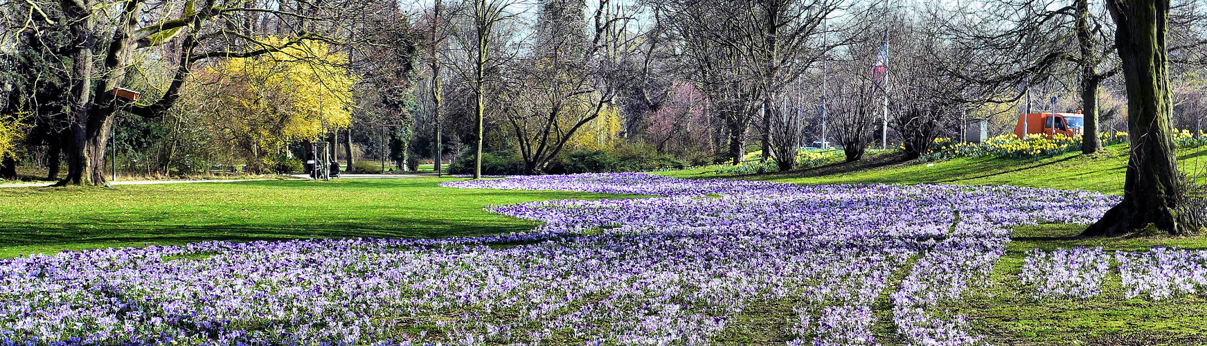 Noch einmal das Blaue Band