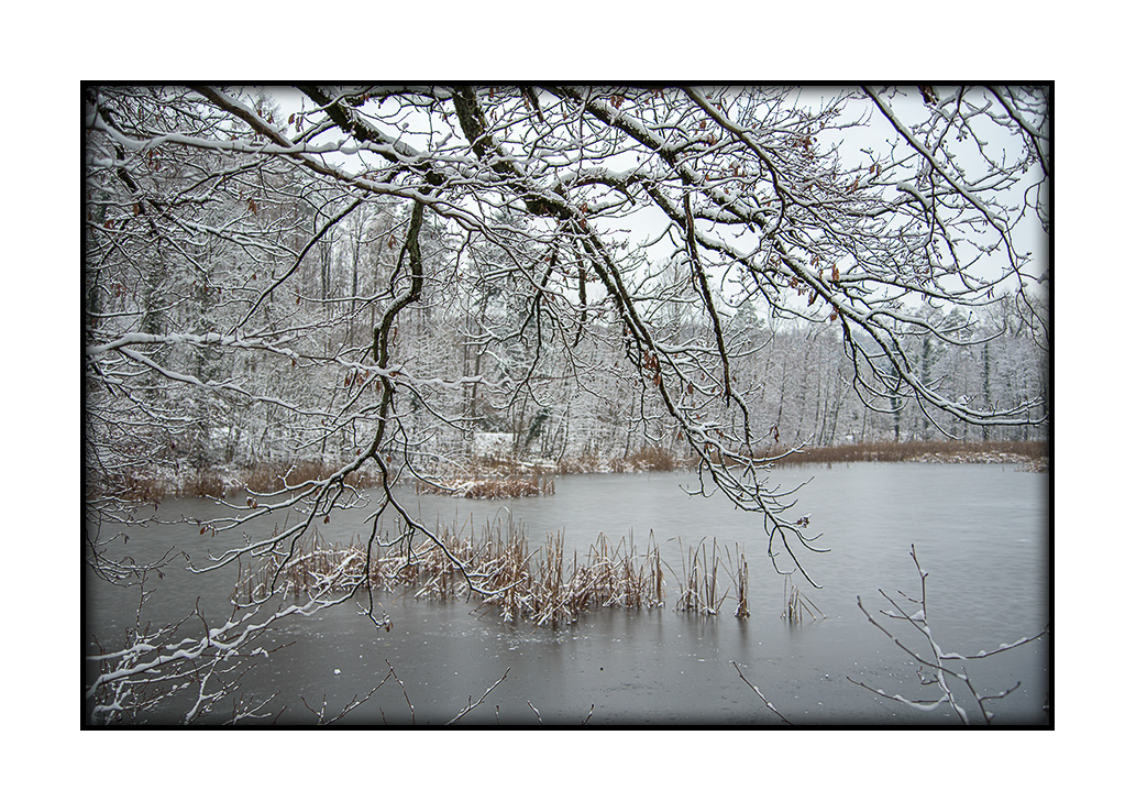 Noch einmal der Bleichsee im Winter