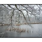 Noch einmal der Bleichsee im Winter