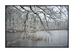 Noch einmal der Bleichsee im Winter