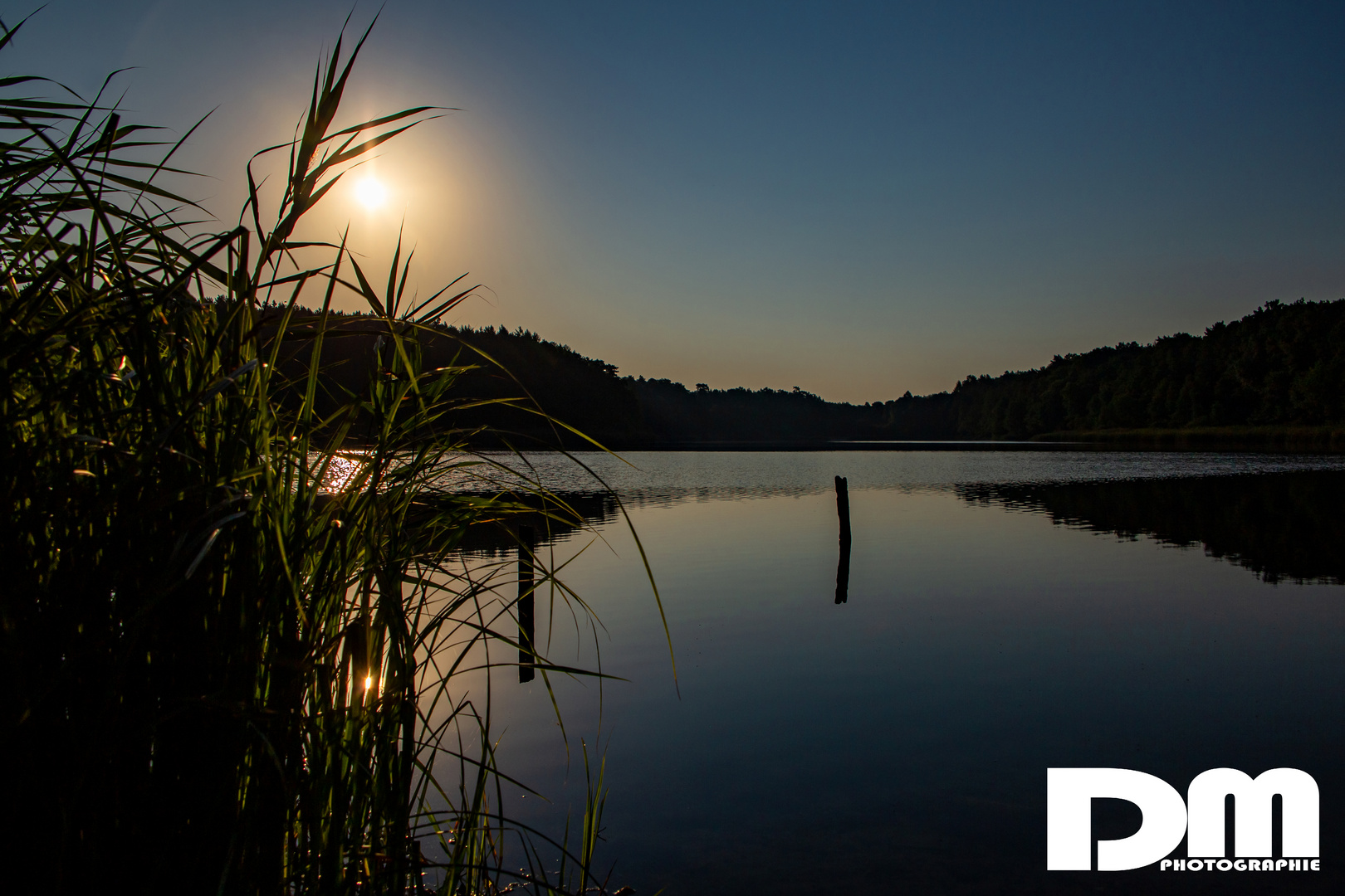 Noch einmal: der morgendliche Domjüchsee bei Neustrelitz