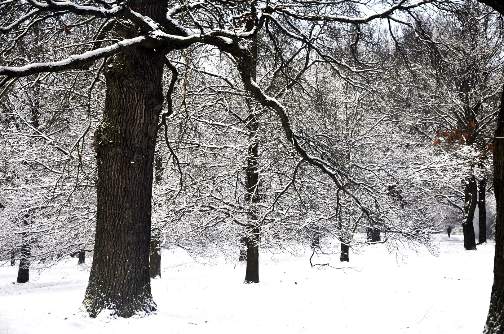 Noch einmal der Winter mit viel Schnee für alle die ihn so missen