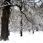 Noch einmal der Winter mit viel Schnee für alle die ihn so missen