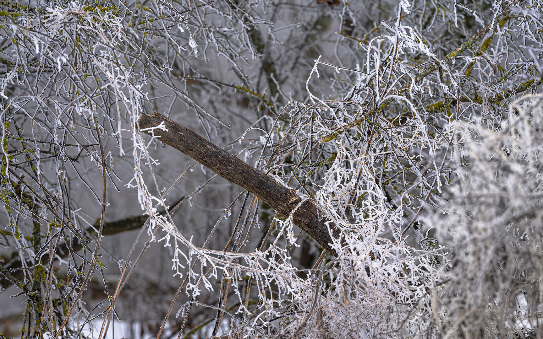 Noch einmal ein bisschen Winterzauber