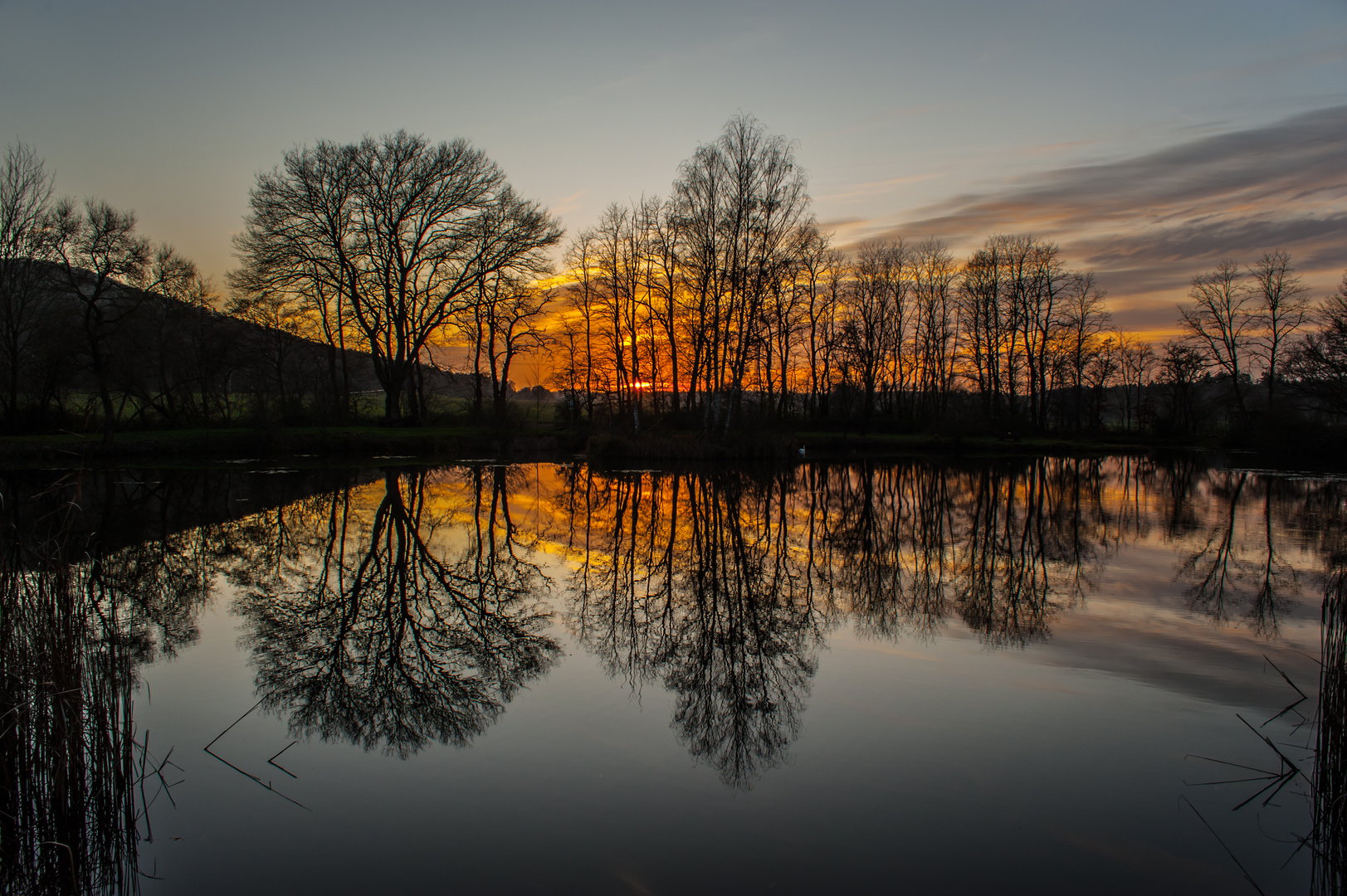 Noch einmal Gänseweiher