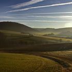 noch einmal Gegenlicht