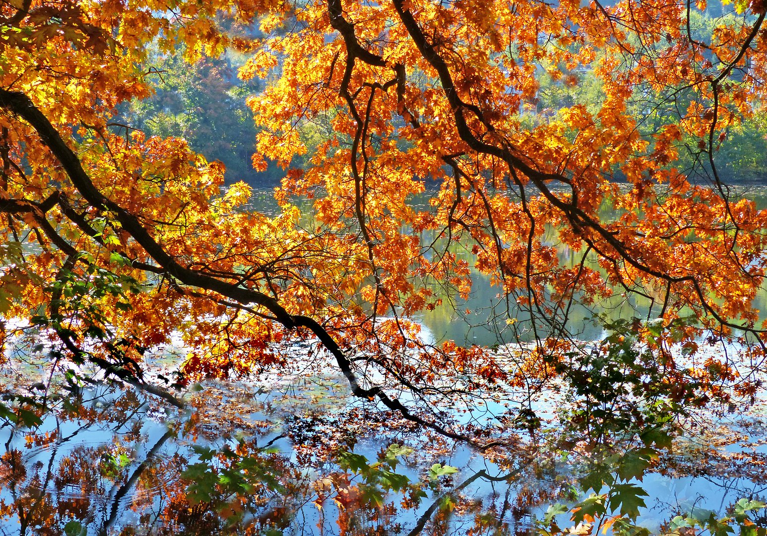 Noch einmal Herbstfarben