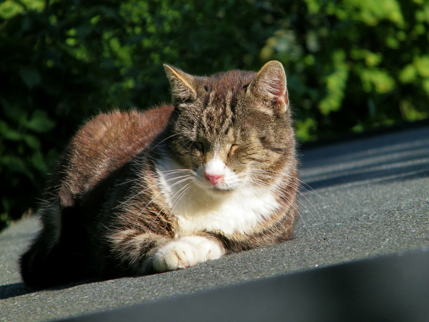 noch einmal in der warmen Sonne sitzen...