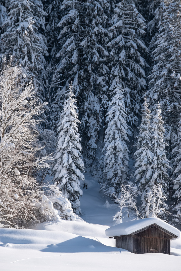 ....noch einmal richtig Winter