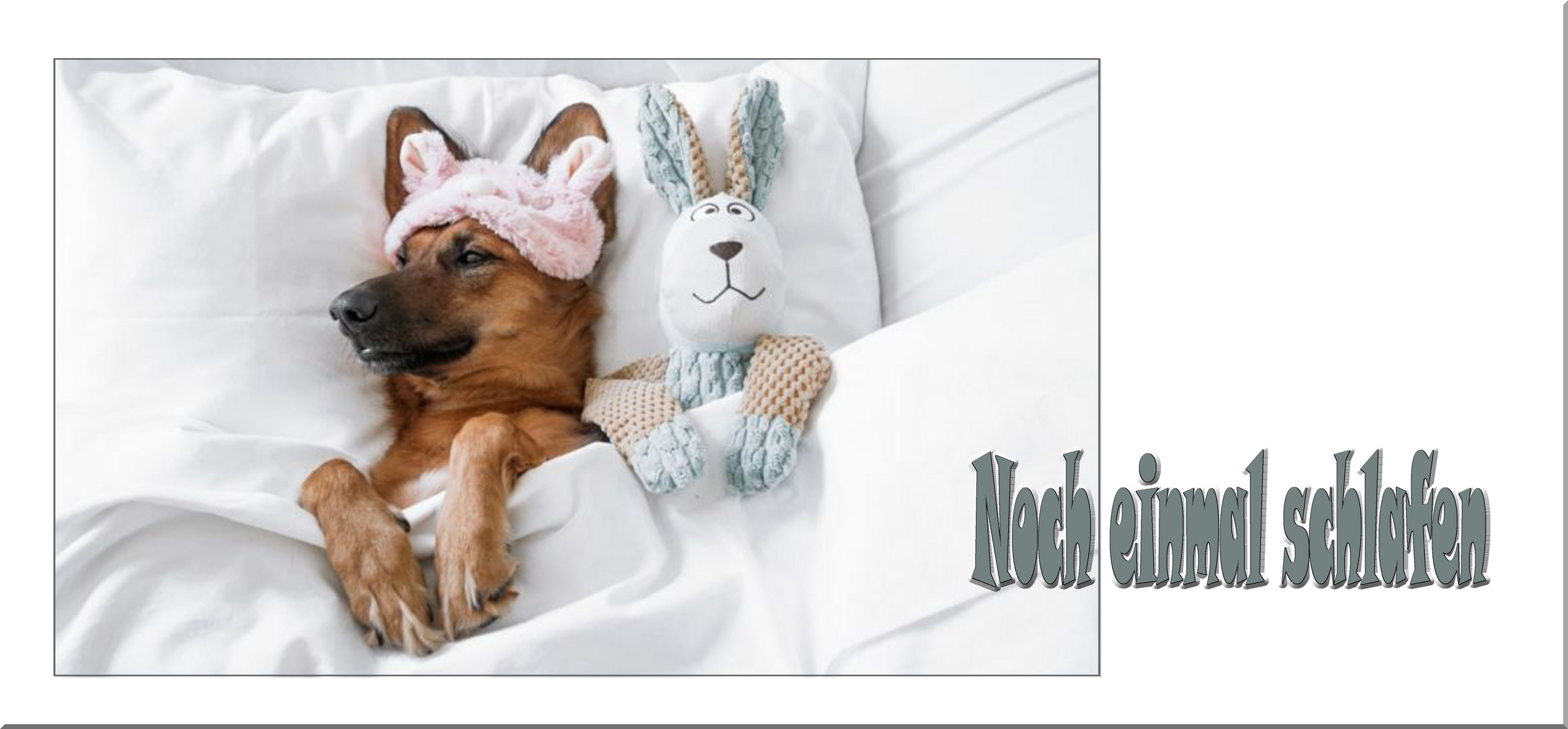 Nur noch einmal schlafen Bilder: Unleashing the Magic of Anticipation