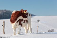 noch einmal schnell zurück geschaut .....