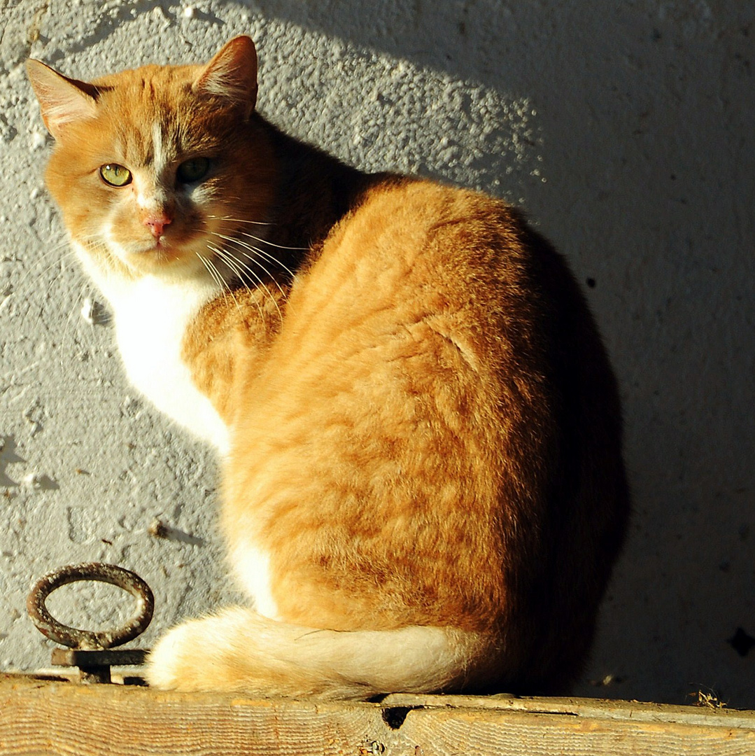 noch einmal Sonne genießen