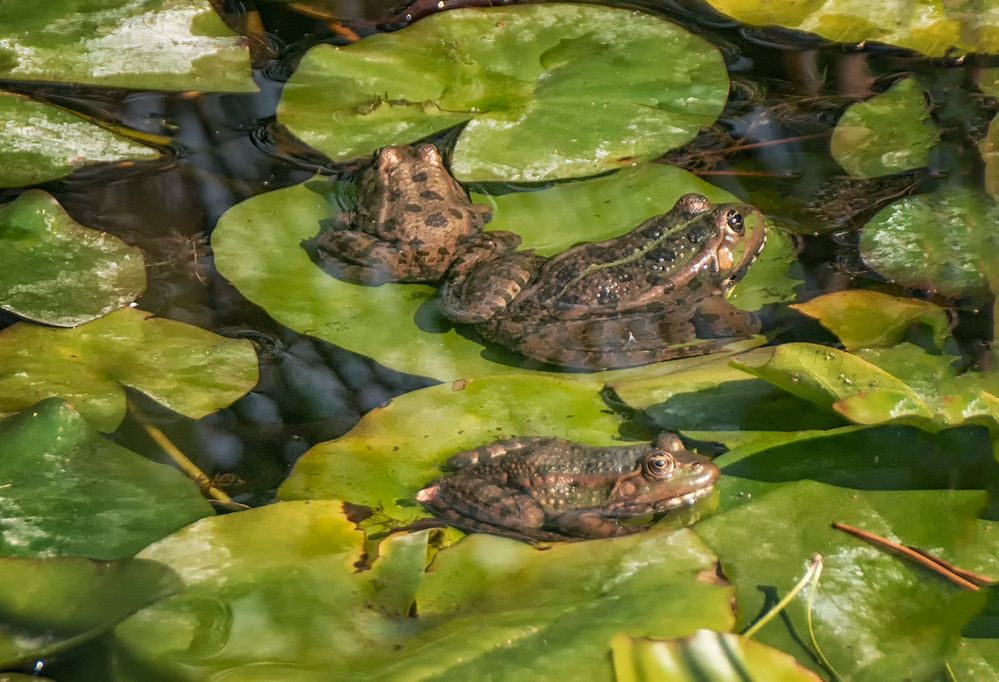 Noch einmal sonnenbaden.