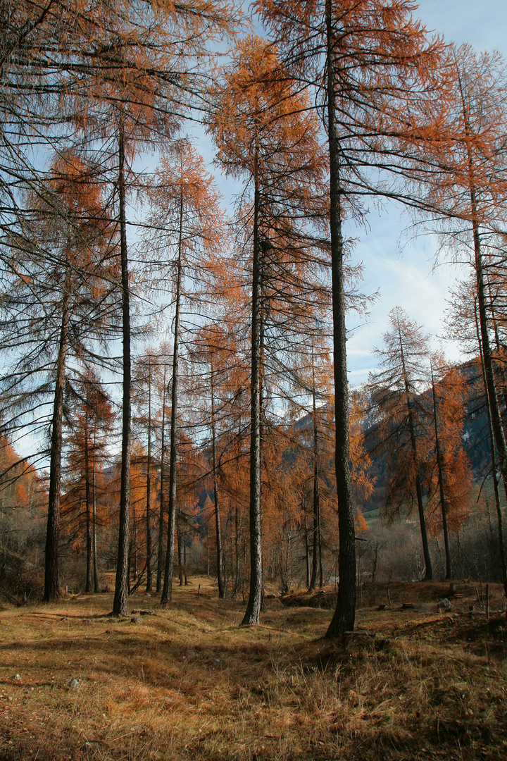 Noch einmal Val Müstair....