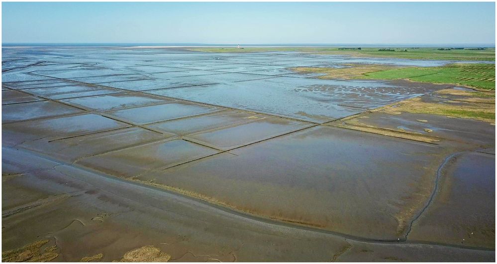 noch einmal Westerhever