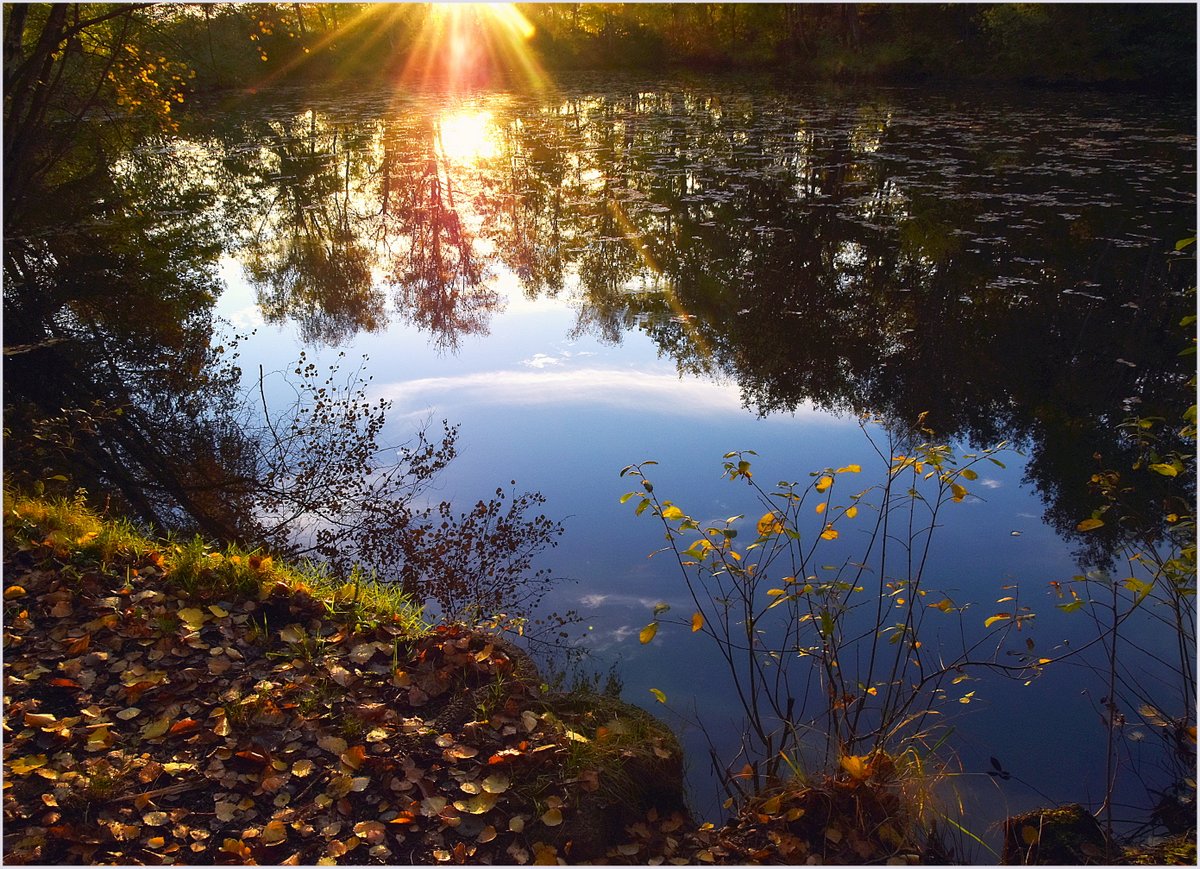  ...Noch einmal zeigt der Herbst seine bunten Farben ...