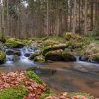 Noch eins vom Otterbach