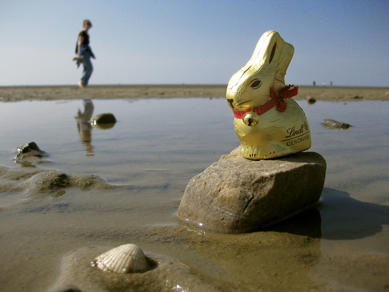 Noch entspannt der Has' am Strand