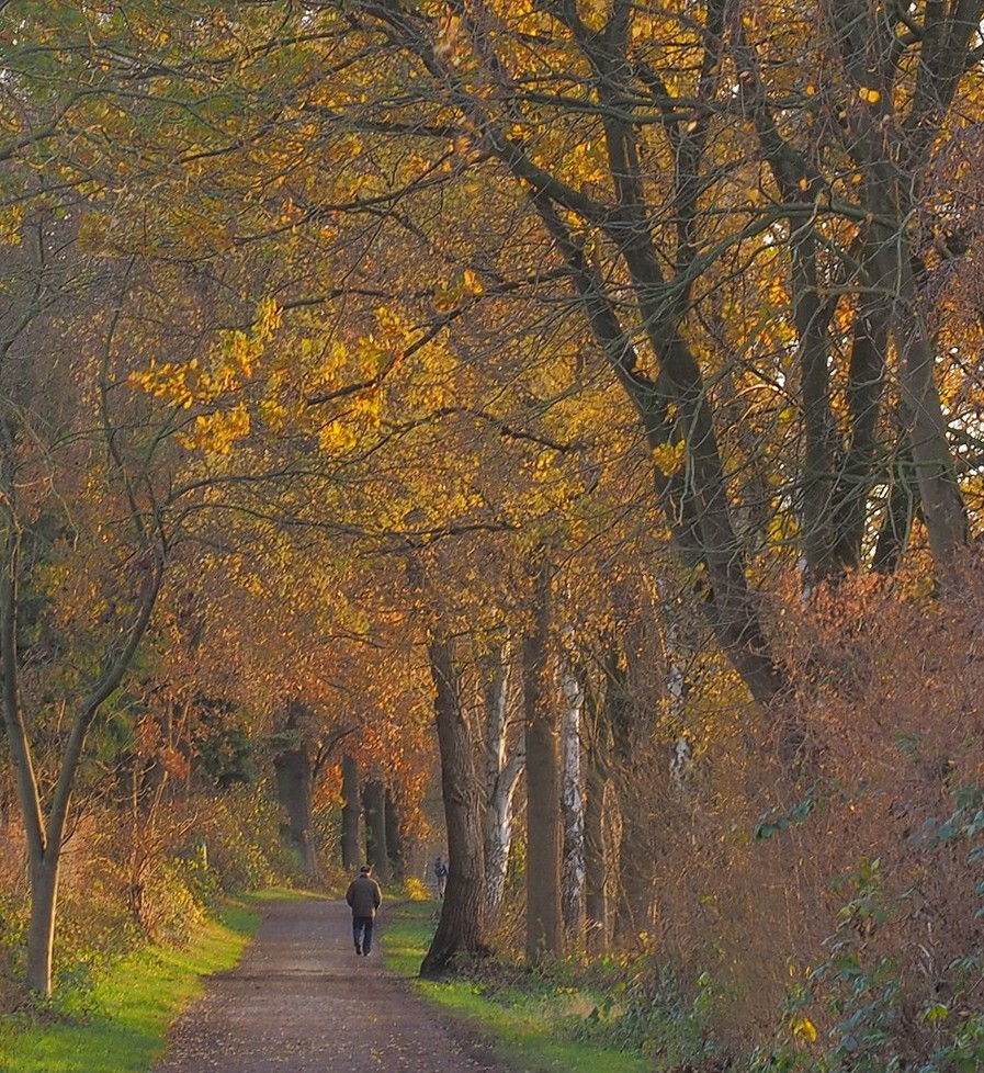 Noch etwas Herbst