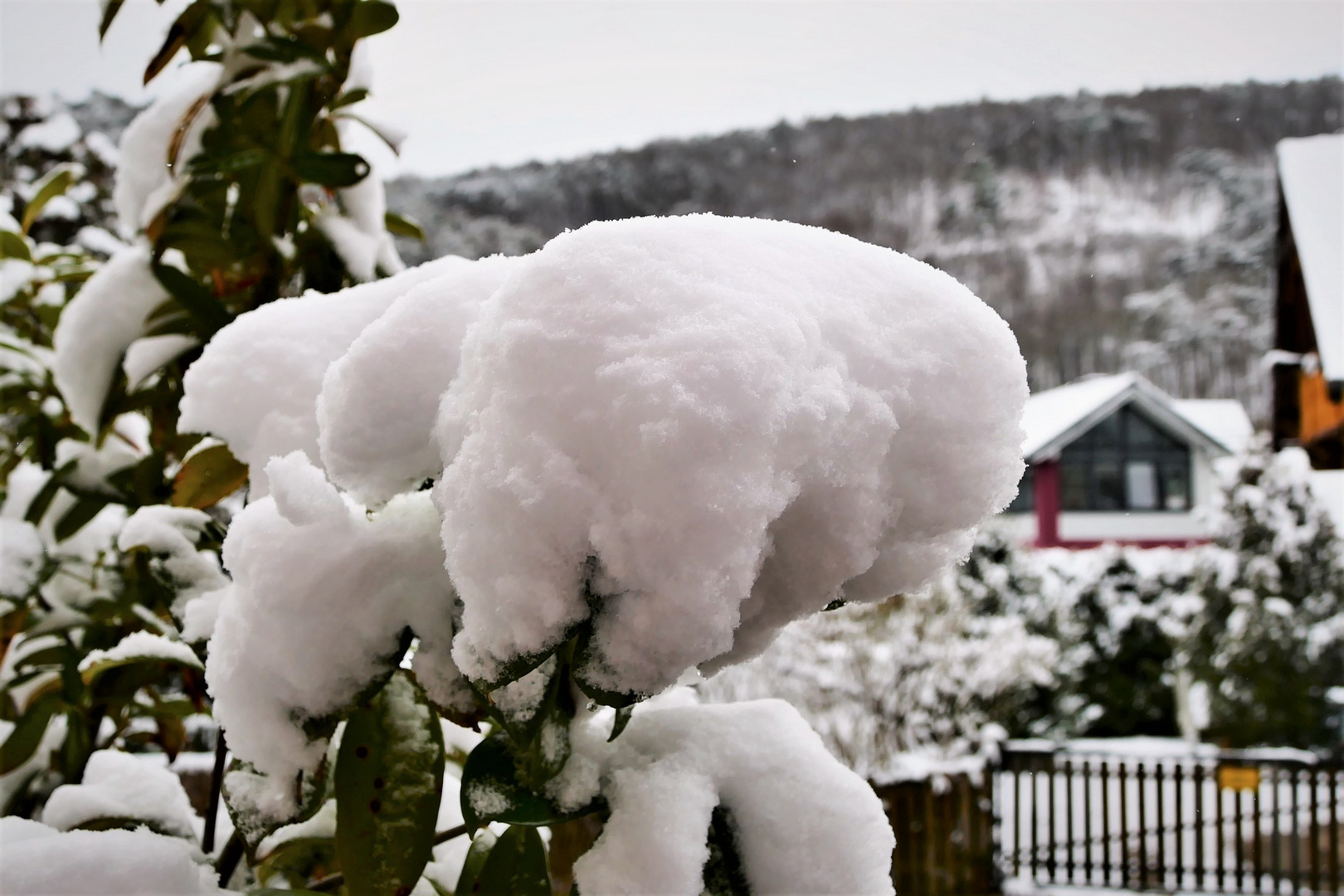 Noch etwas Schnee gefällig ?