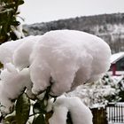 Noch etwas Schnee gefällig ?