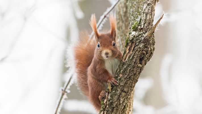 Noch etwas vom Tag mit dem Raureif