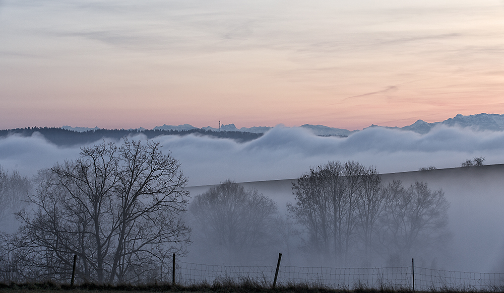 Noch ganz knapp über dem Nebel...