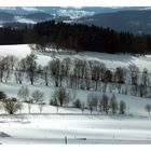 Noch garnicht lange her im Erzgebirge (Großrückerswalde)