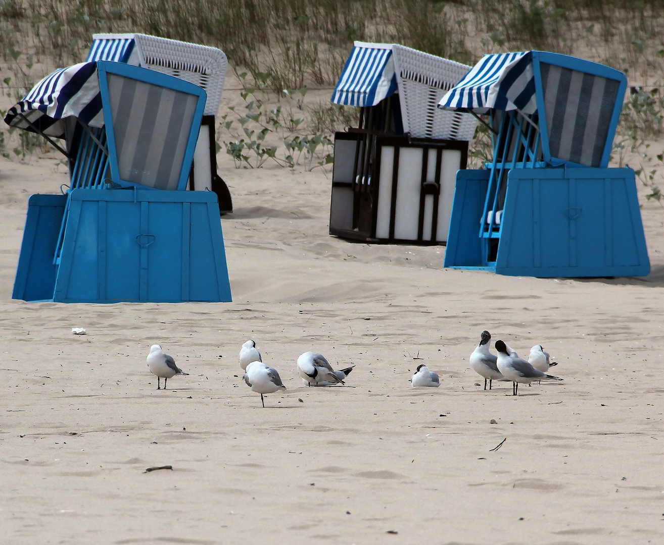 "Noch gehört der Strand uns....."