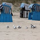 "Noch gehört der Strand uns....."