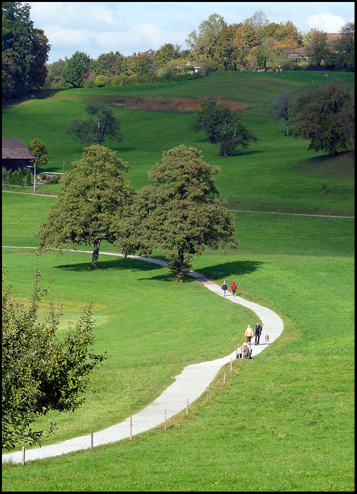 noch grün