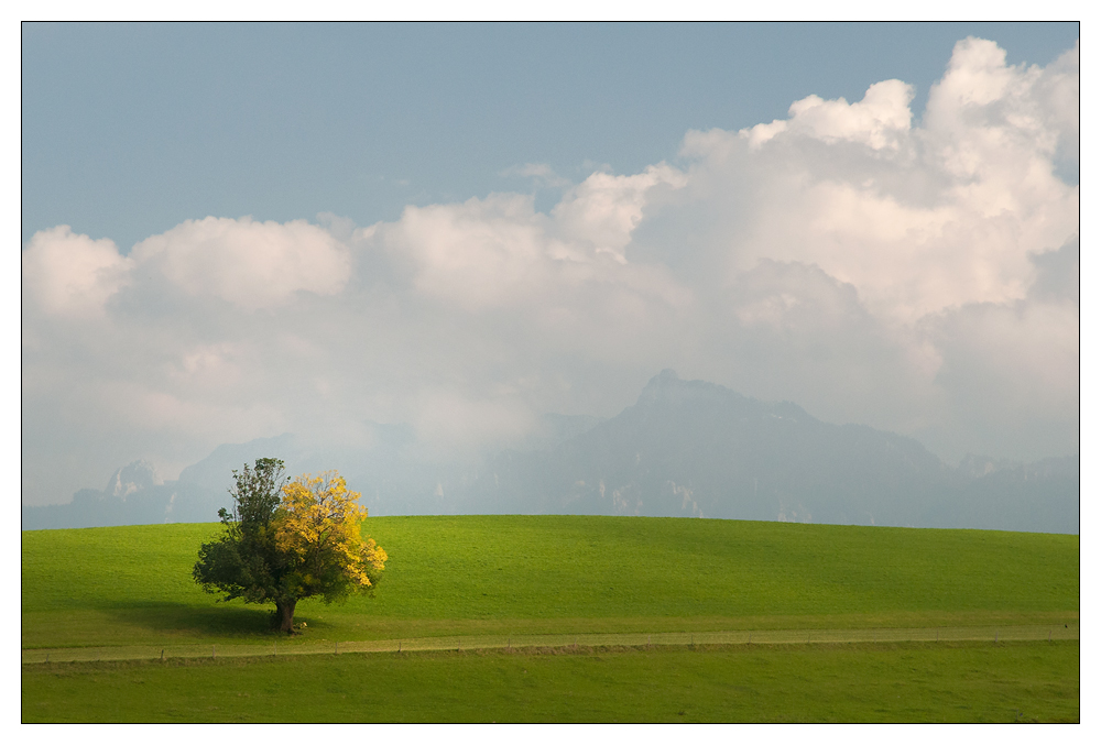 Noch halb Sommer