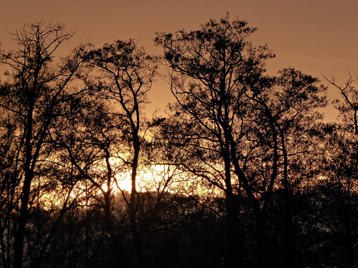 Noch hat die Sonne den Durchblick