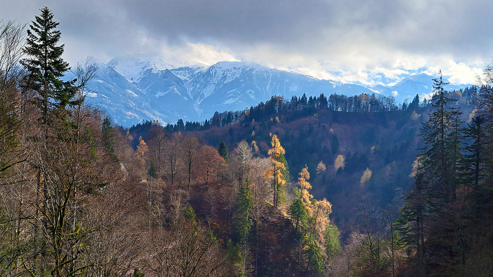 noch Herbst - oder schon Winter ??