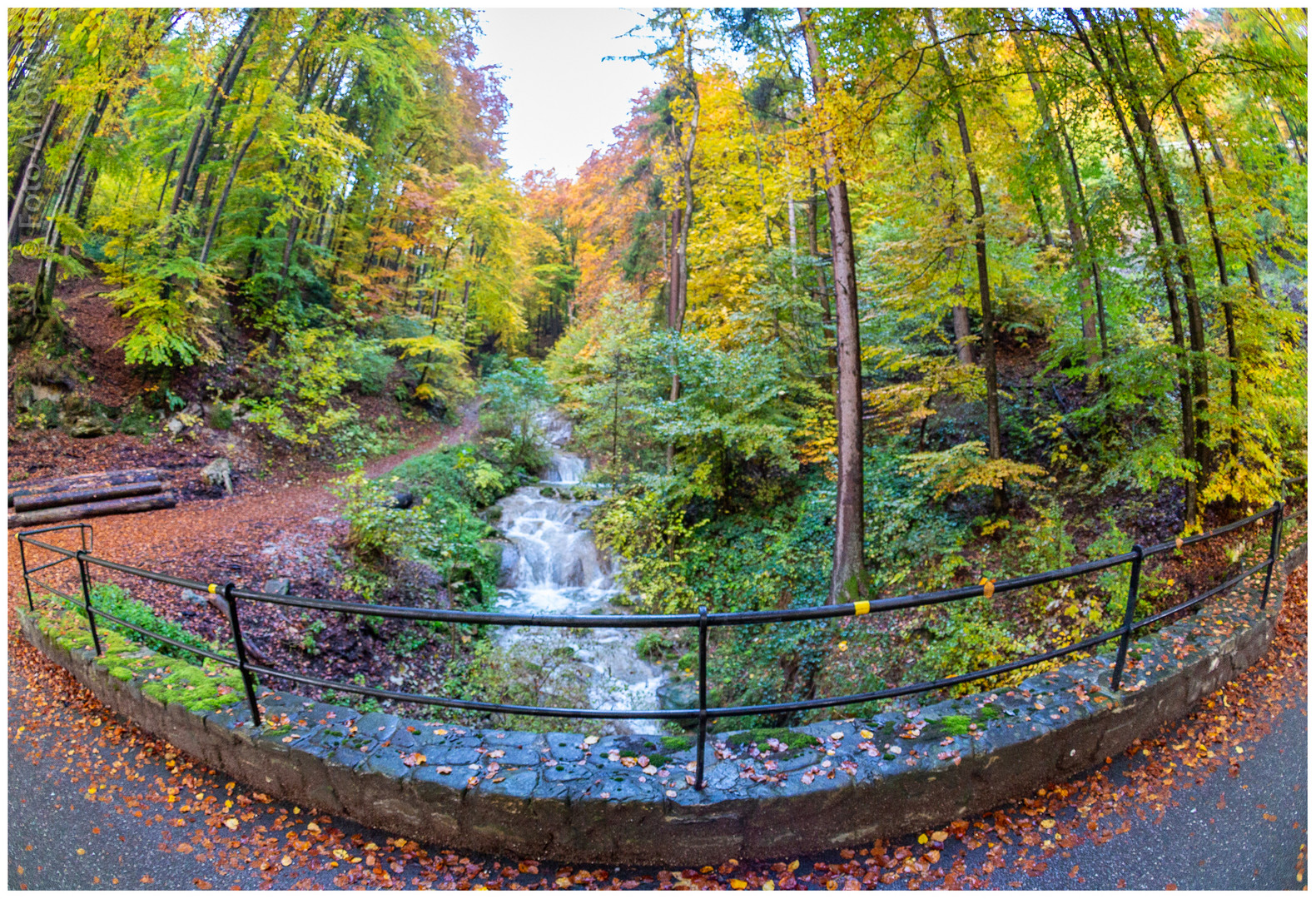 Noch Herbstbilder die ich Euch zeigen möchte