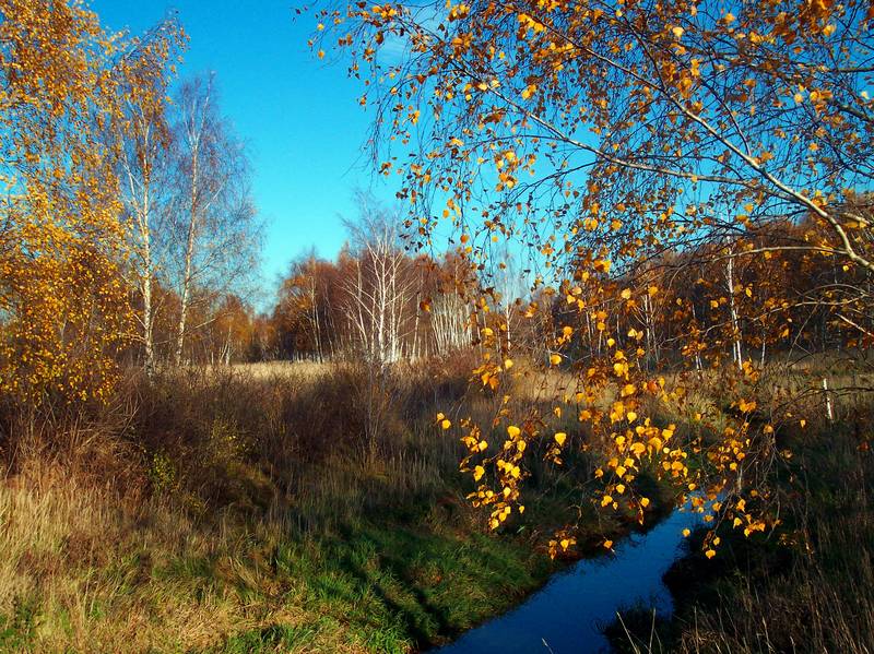 noch herbstlich...