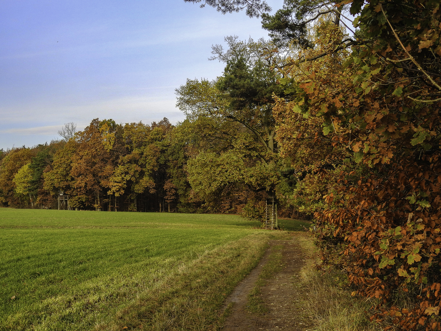 Noch herbstlich......