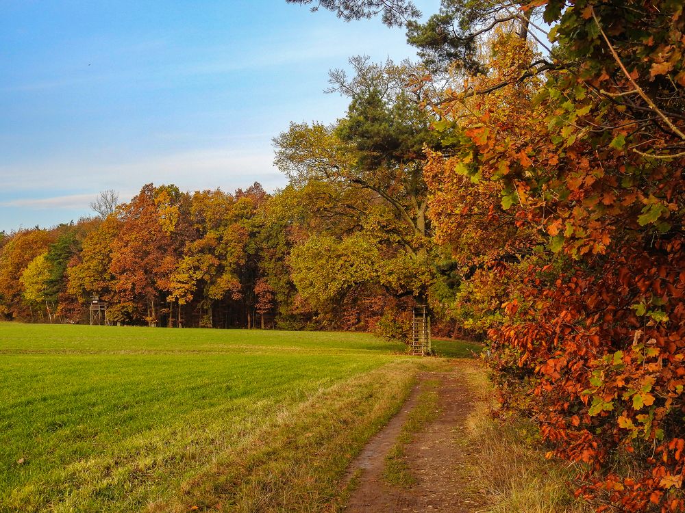 Noch herbstlich......